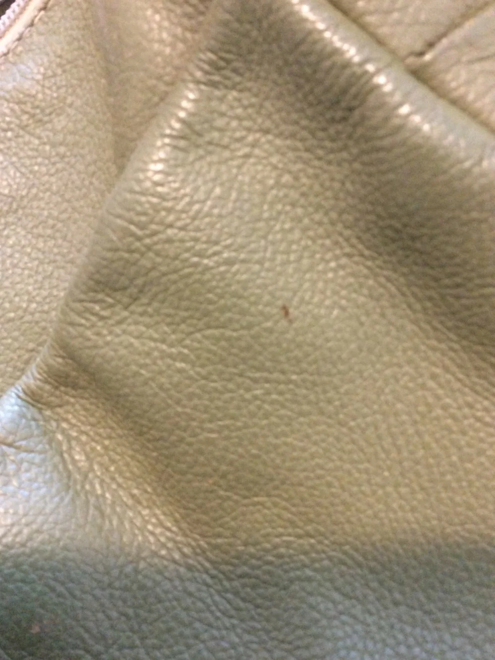 JP Ourse Open Trails Petite leather purse - Kiwi green - Picture 6 of 10